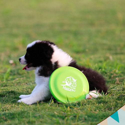 Disque de dressage léger pour chiens - Jouet durable pour l'éducation canine - EcomStart
