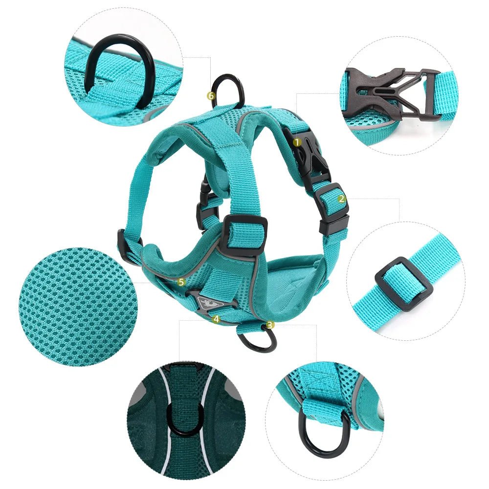 Ensemble Harnais & laisses pour petits chiens Bouledogue français Pug Pitbull Collier pectoral Chiens - EcomStart
