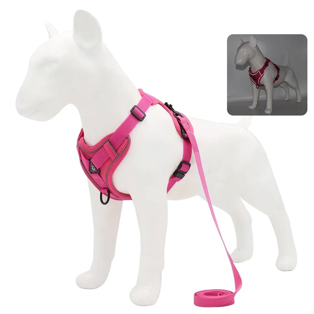 Ensemble Harnais & laisses pour petits chiens Bouledogue français Pug Pitbull Collier pectoral Chiens - EcomStart