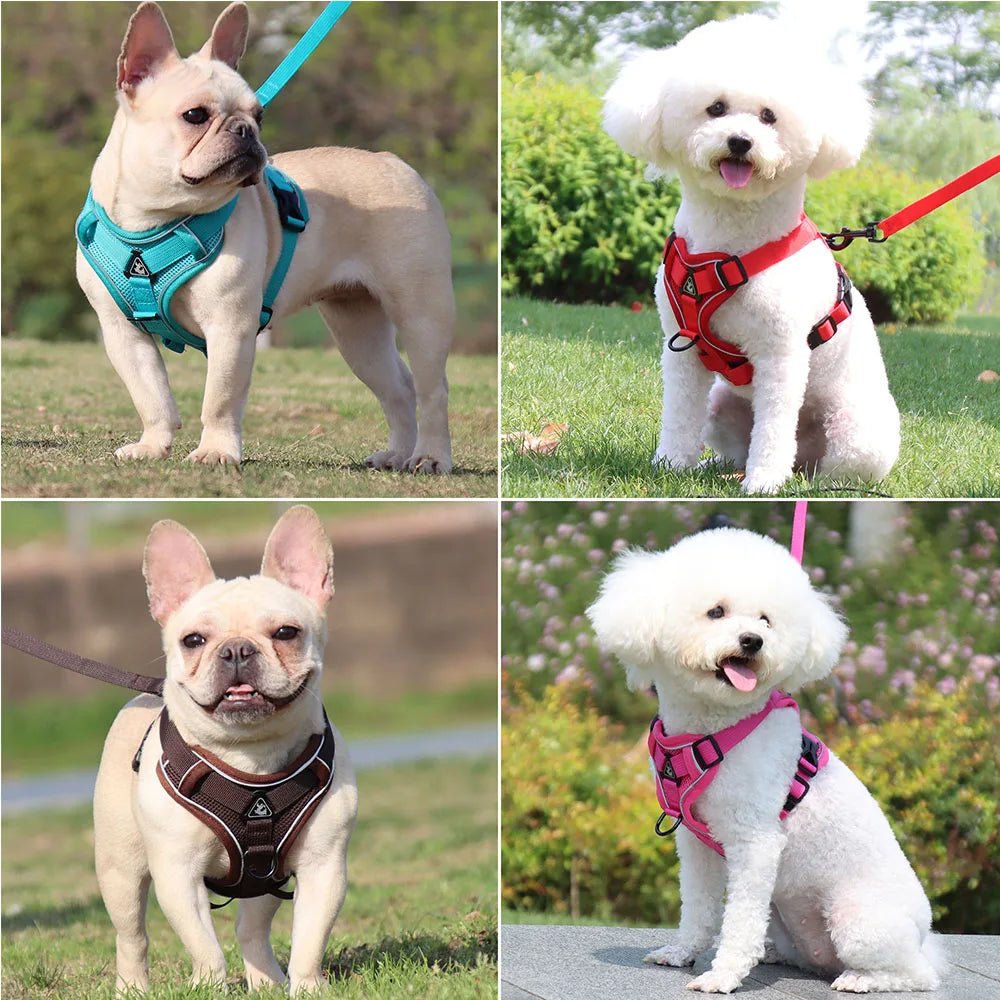 Ensemble Harnais & laisses pour petits chiens Bouledogue français Pug Pitbull Collier pectoral Chiens - EcomStart