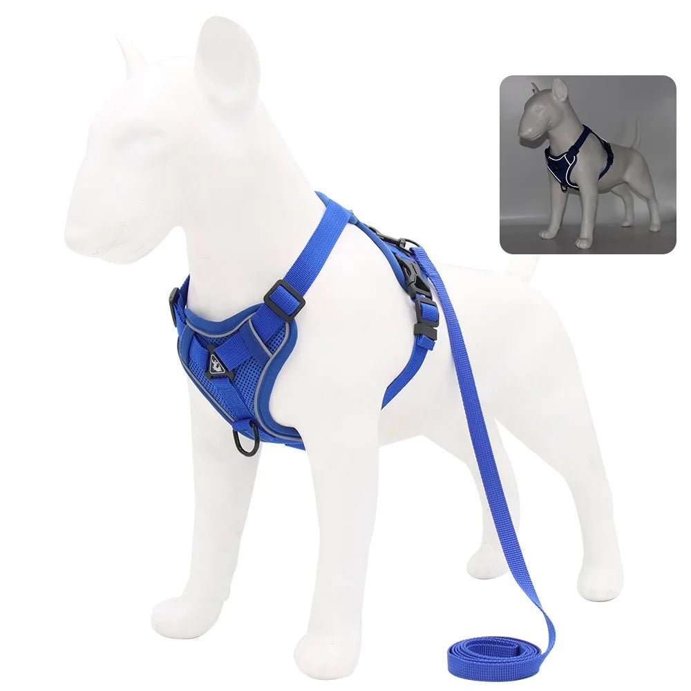 Ensemble Harnais & laisses pour petits chiens Bouledogue français Pug Pitbull Collier pectoral Chiens - EcomStart