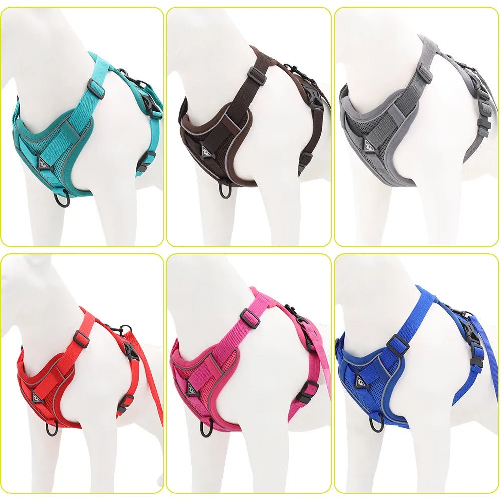Ensemble Harnais & laisses pour petits chiens Bouledogue français Pug Pitbull Collier pectoral Chiens - EcomStart