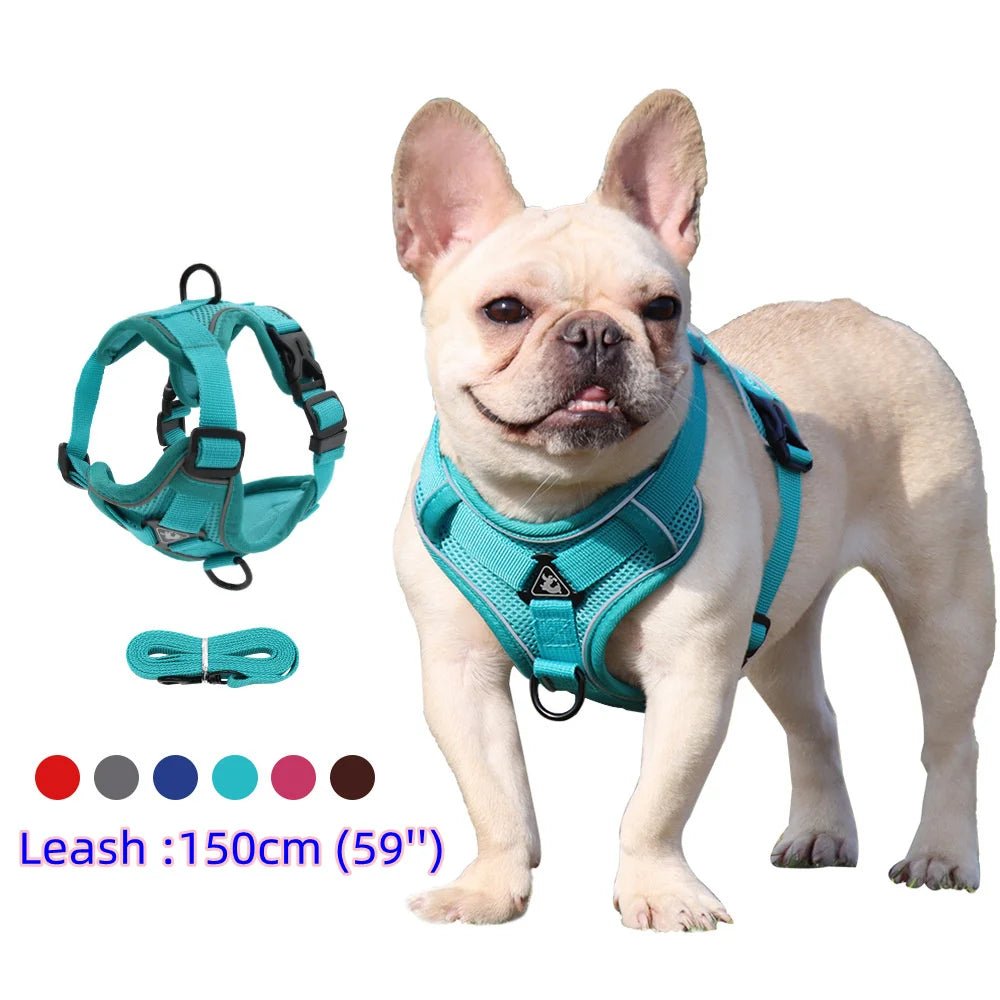 Ensemble Harnais & laisses pour petits chiens Bouledogue français Pug Pitbull Collier pectoral Chiens - EcomStart