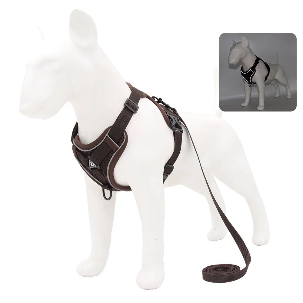 Ensemble Harnais & laisses pour petits chiens Bouledogue français Pug Pitbull Collier pectoral Chiens - EcomStart