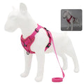 Ensemble Harnais & laisses pour petits chiens Bouledogue français Pug Pitbull Collier pectoral Chiens - EcomStart