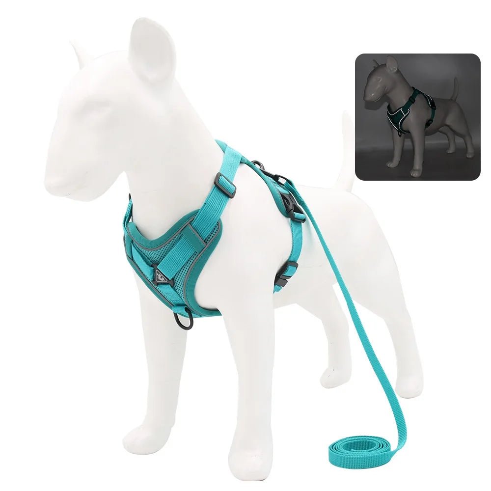 Ensemble Harnais & laisses pour petits chiens Bouledogue français Pug Pitbull Collier pectoral Chiens - EcomStart