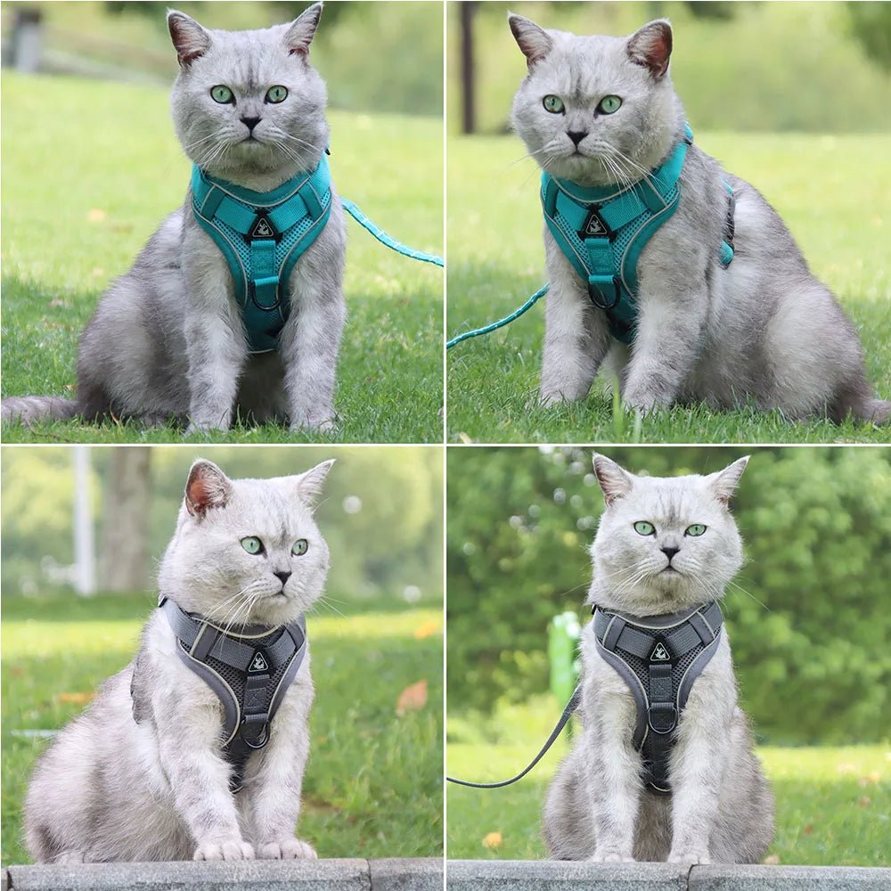 Ensemble Harnais & laisses pour petits chiens Bouledogue français Pug Pitbull Collier pectoral Chiens - EcomStart