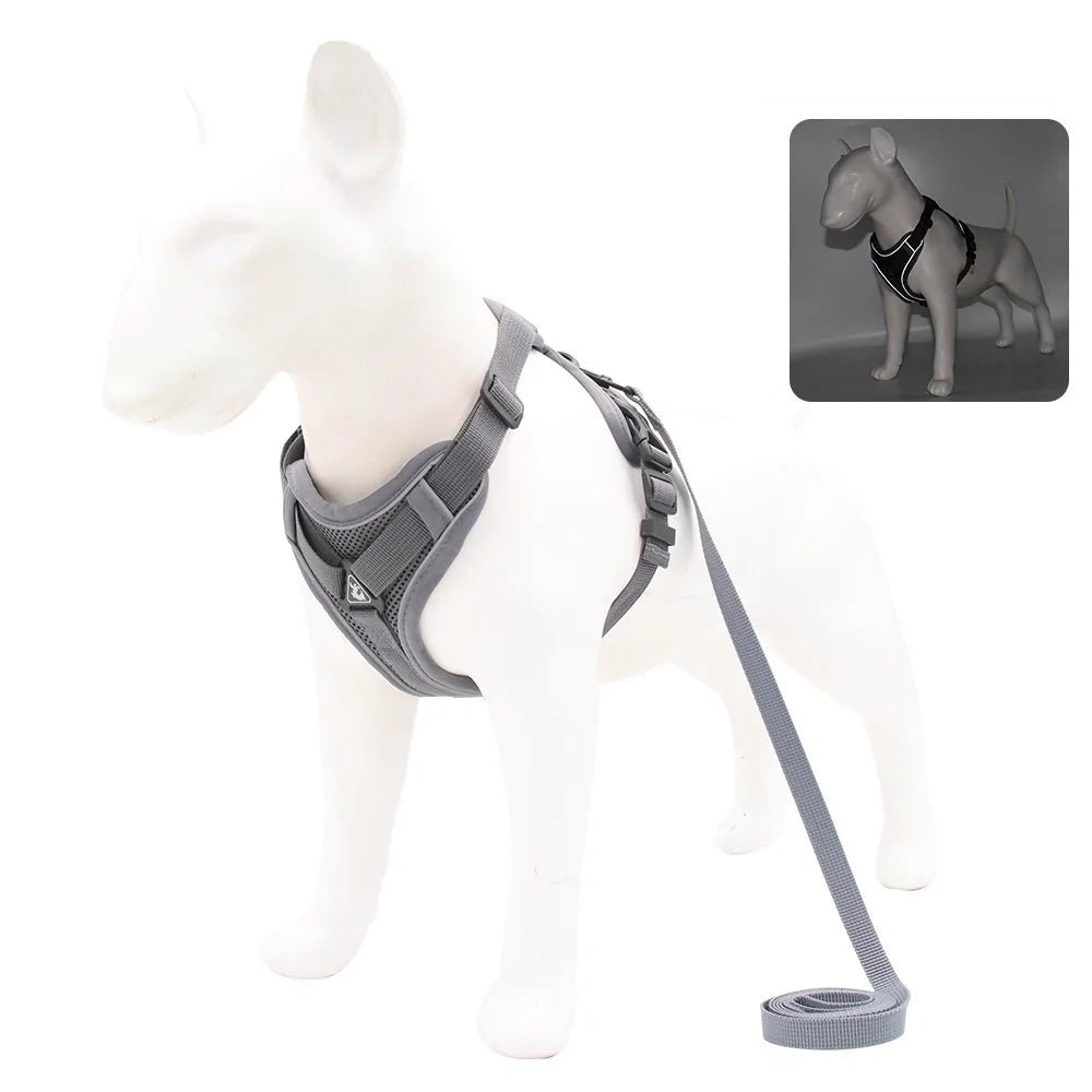 Ensemble Harnais & laisses pour petits chiens Bouledogue français Pug Pitbull Collier pectoral Chiens - EcomStart