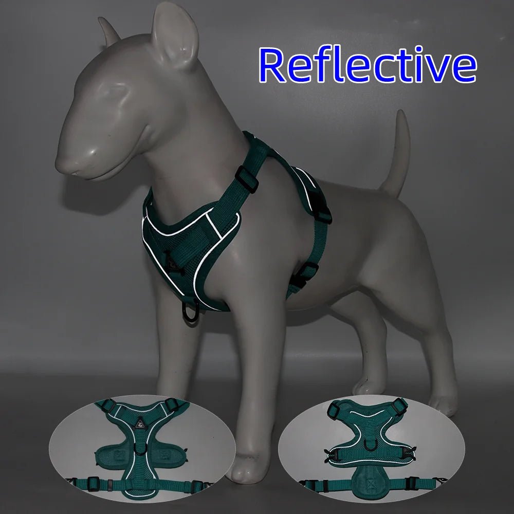 Ensemble Harnais & laisses pour petits chiens Bouledogue français Pug Pitbull Collier pectoral Chiens - EcomStart