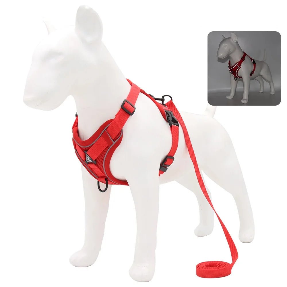 Ensemble Harnais & laisses pour petits chiens Bouledogue français Pug Pitbull Collier pectoral Chiens - EcomStart