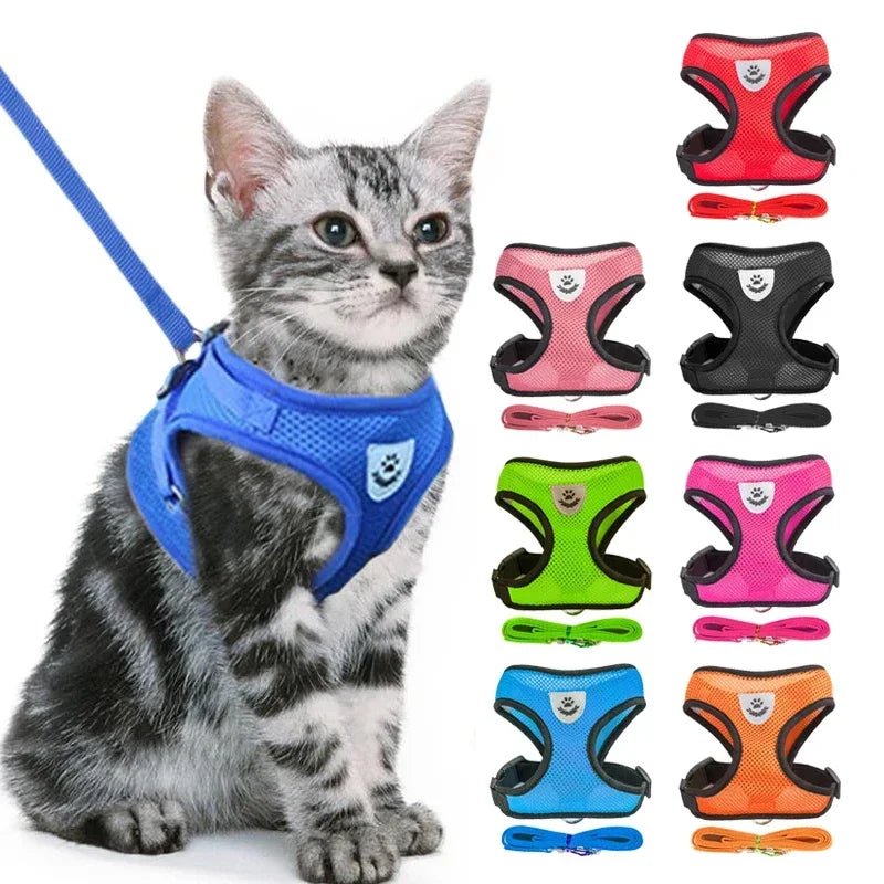 Harnais de chat - EcomStart