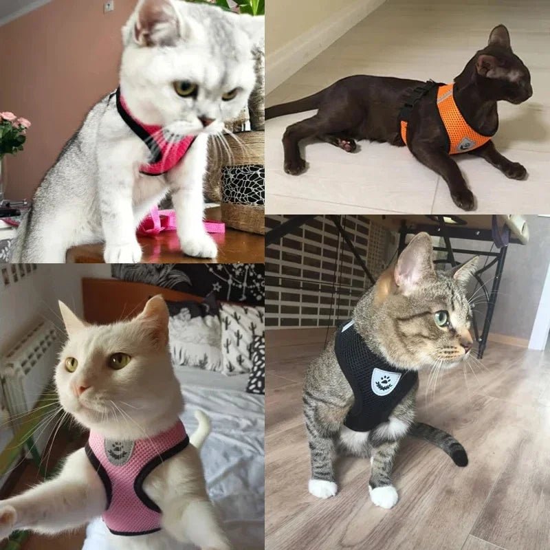 Harnais de chat - EcomStart