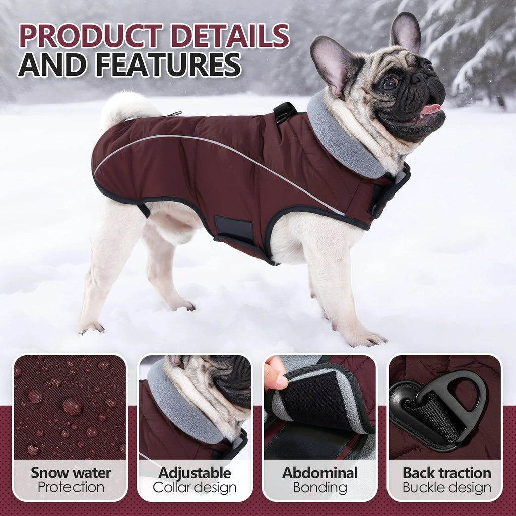 Manteau pour chien imperméable, chaud et réfléchissant - EcomStart