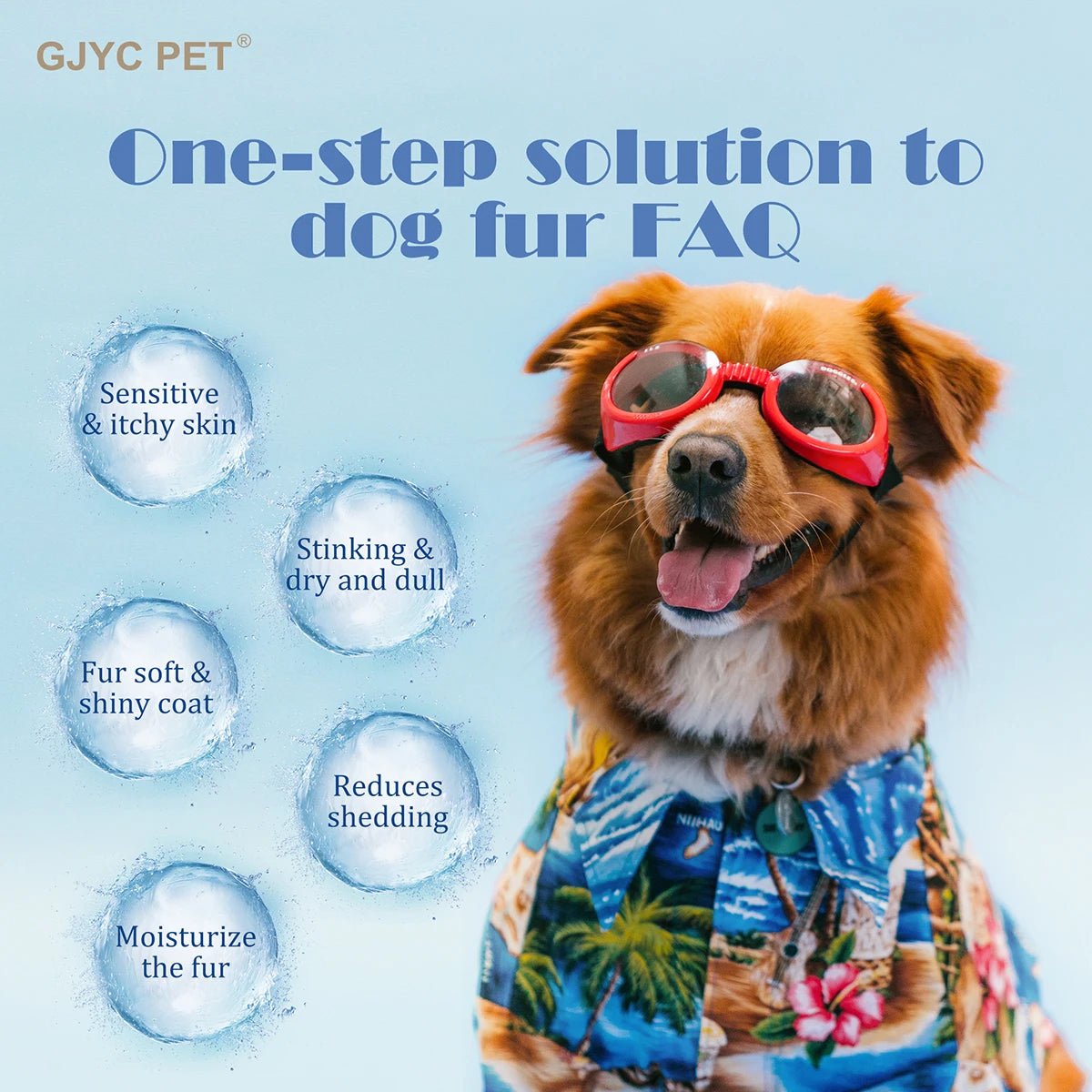 Shampooing nourrissant pour chien - Brillance et douceur assurées! - EcomStart