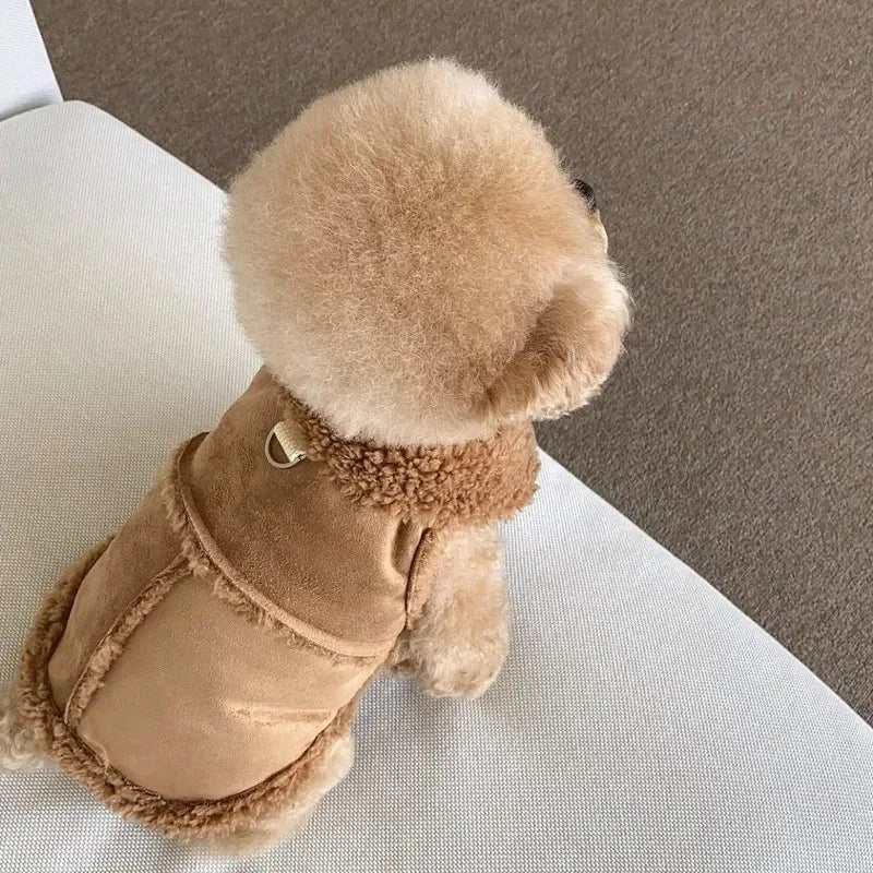 Vêtement pour Chihuahua Sweat-shirt pour animaux de compagnie - EcomStart