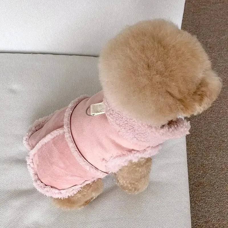 Vêtement pour Chihuahua Sweat-shirt pour animaux de compagnie - EcomStart